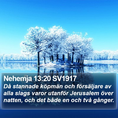 Nehemja 13:20 SV1917 Bible Verse Image