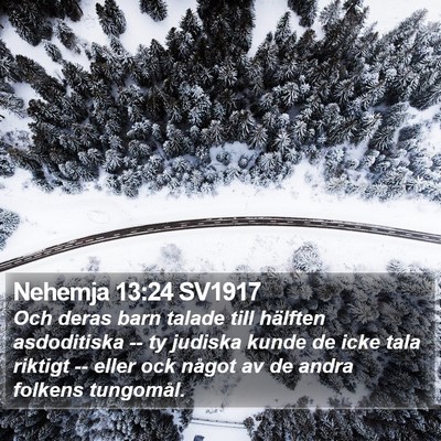 Nehemja 13:24 SV1917 Bible Verse Image