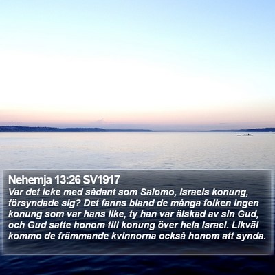 Nehemja 13:26 SV1917 Bible Verse Image