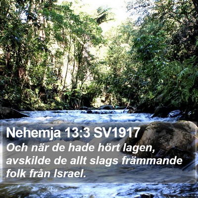 Nehemja 13:3 SV1917 Bible Verse Image