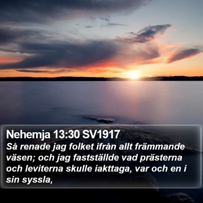 Nehemja 13:30 SV1917 Bible Verse Image