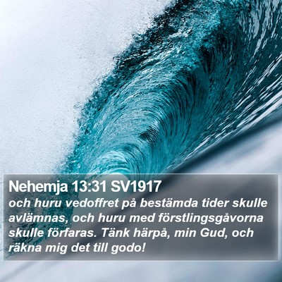 Nehemja 13:31 SV1917 Bible Verse Image