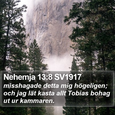 Nehemja 13:8 SV1917 Bible Verse Image