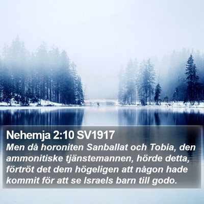 Nehemja 2:10 SV1917 Bible Verse Image