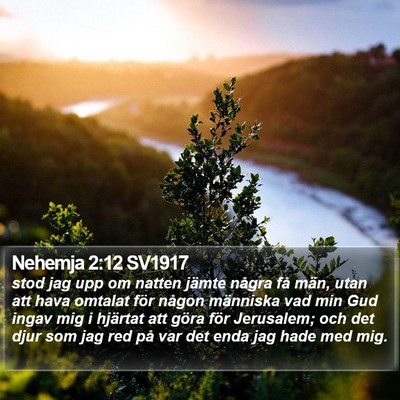Nehemja 2:12 SV1917 Bible Verse Image