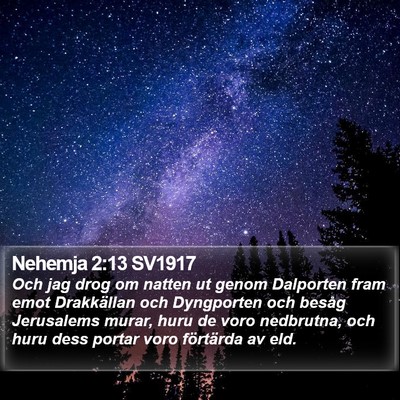 Nehemja 2:13 SV1917 Bible Verse Image