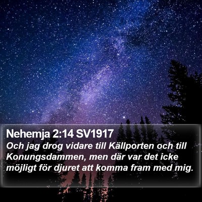 Nehemja 2:14 SV1917 Bible Verse Image