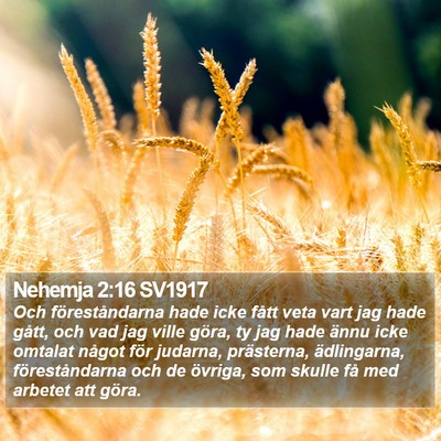 Nehemja 2:16 SV1917 Bible Verse Image