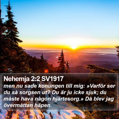 Nehemja 2:2 SV1917 Bible Verse Image
