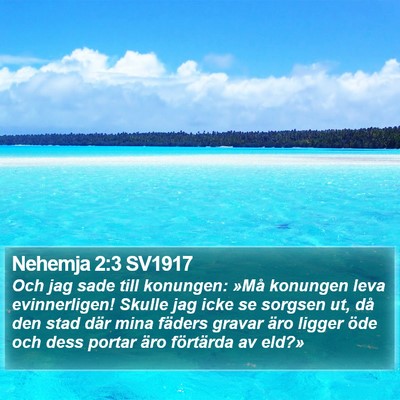 Nehemja 2:3 SV1917 Bible Verse Image