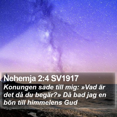 Nehemja 2:4 SV1917 Bible Verse Image