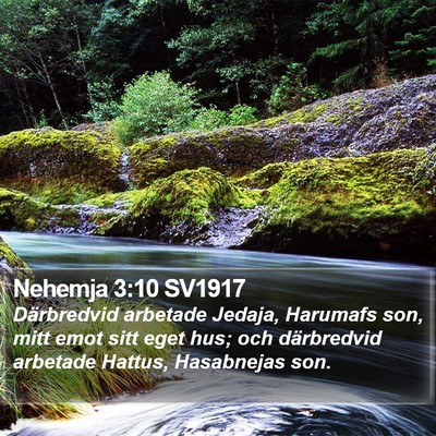 Nehemja 3:10 SV1917 Bible Verse Image