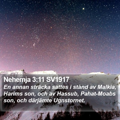 Nehemja 3:11 SV1917 Bible Verse Image
