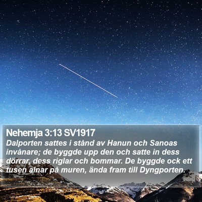Nehemja 3:13 SV1917 Bible Verse Image