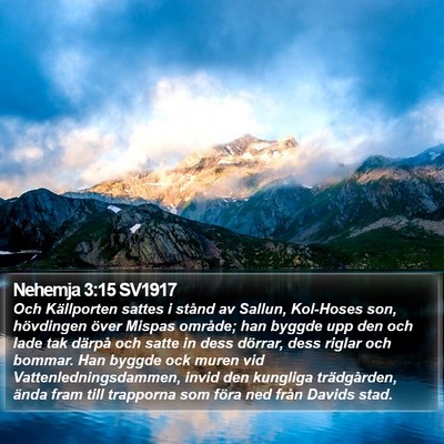 Nehemja 3:15 SV1917 Bible Verse Image
