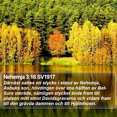 Nehemja 3:16 SV1917 Bible Verse Image