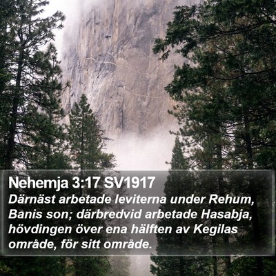 Nehemja 3:17 SV1917 Bible Verse Image