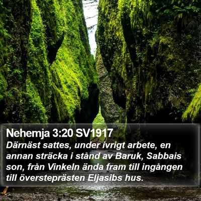 Nehemja 3:20 SV1917 Bible Verse Image