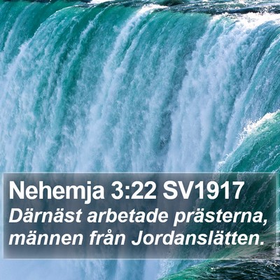 Nehemja 3:22 SV1917 Bible Verse Image