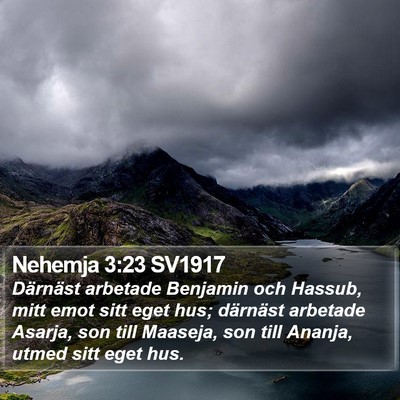 Nehemja 3:23 SV1917 Bible Verse Image