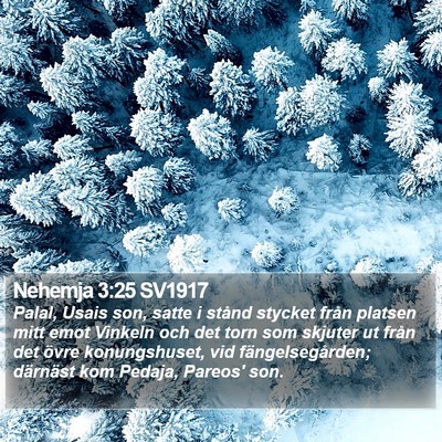 Nehemja 3:25 SV1917 Bible Verse Image