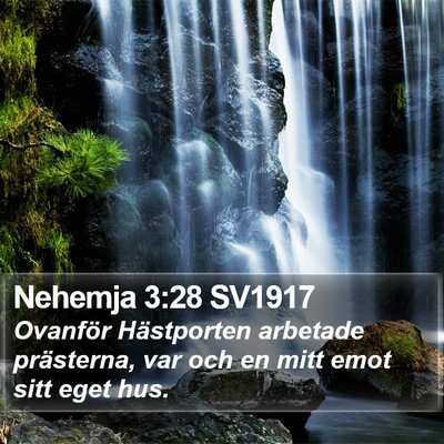 Nehemja 3:28 SV1917 Bible Verse Image