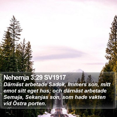 Nehemja 3:29 SV1917 Bible Verse Image