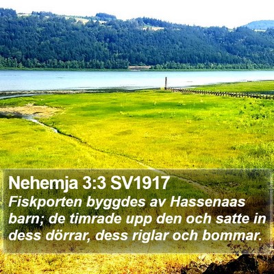 Nehemja 3:3 SV1917 Bible Verse Image
