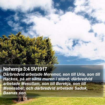 Nehemja 3:4 SV1917 Bible Verse Image