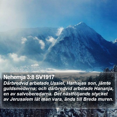 Nehemja 3:8 SV1917 Bible Verse Image
