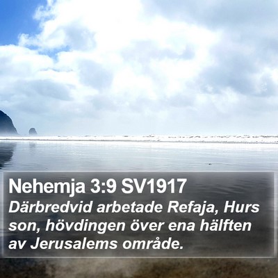 Nehemja 3:9 SV1917 Bible Verse Image