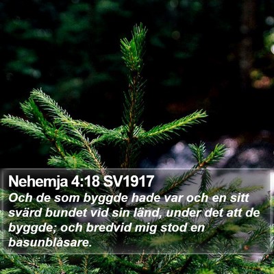 Nehemja 4:18 SV1917 Bible Verse Image