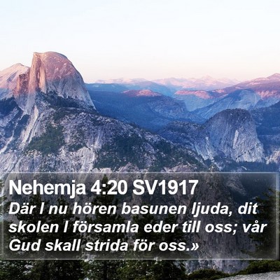 Nehemja 4:20 SV1917 Bible Verse Image