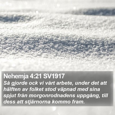 Nehemja 4:21 SV1917 Bible Verse Image