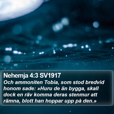 Nehemja 4:3 SV1917 Bible Verse Image