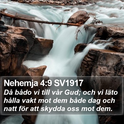 Nehemja 4:9 SV1917 Bible Verse Image