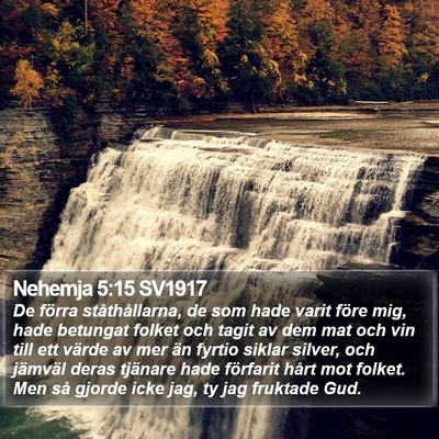 Nehemja 5:15 SV1917 Bible Verse Image