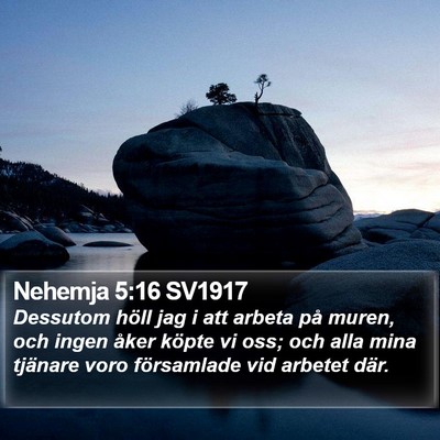 Nehemja 5:16 SV1917 Bible Verse Image