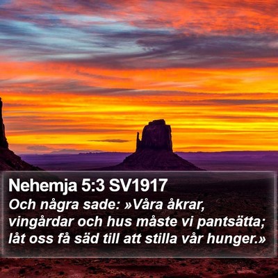 Nehemja 5:3 SV1917 Bible Verse Image