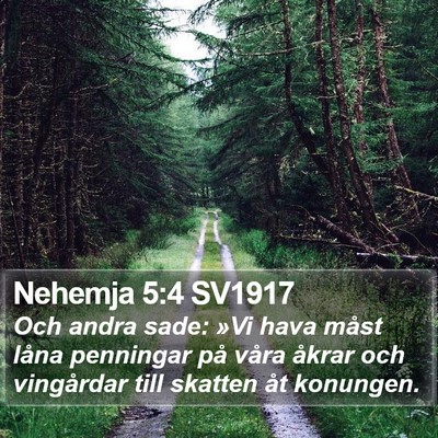 Nehemja 5:4 SV1917 Bible Verse Image