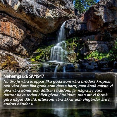 Nehemja 5:5 SV1917 Bible Verse Image