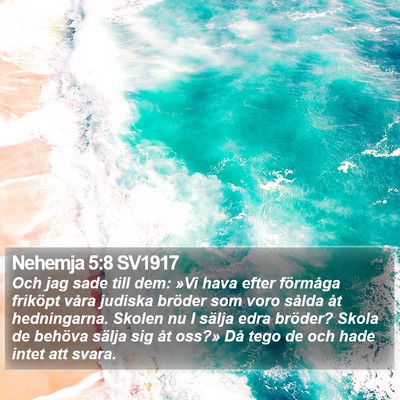 Nehemja 5:8 SV1917 Bible Verse Image