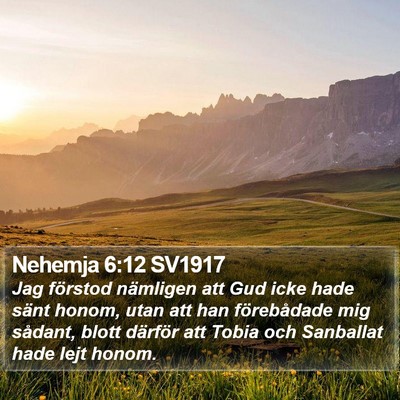Nehemja 6:12 SV1917 Bible Verse Image
