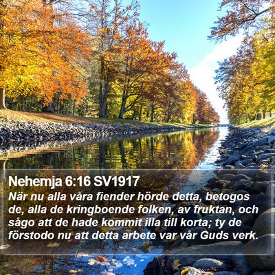 Nehemja 6:16 SV1917 Bible Verse Image
