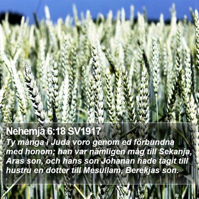Nehemja 6:18 SV1917 Bible Verse Image