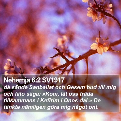Nehemja 6:2 SV1917 Bible Verse Image
