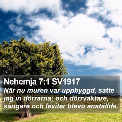 Nehemja 7:1 SV1917 Bible Verse Image