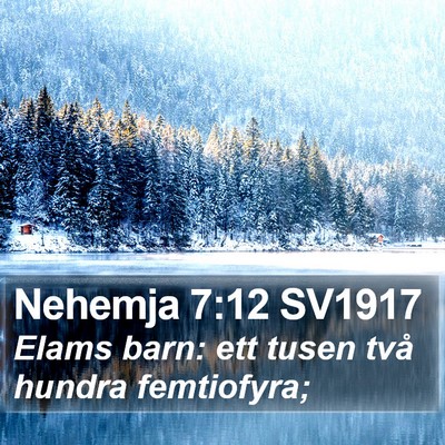 Nehemja 7:12 SV1917 Bible Verse Image