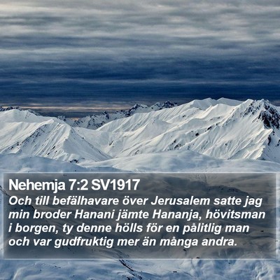 Nehemja 7:2 SV1917 Bible Verse Image