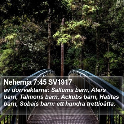 Nehemja 7:45 SV1917 Bible Verse Image